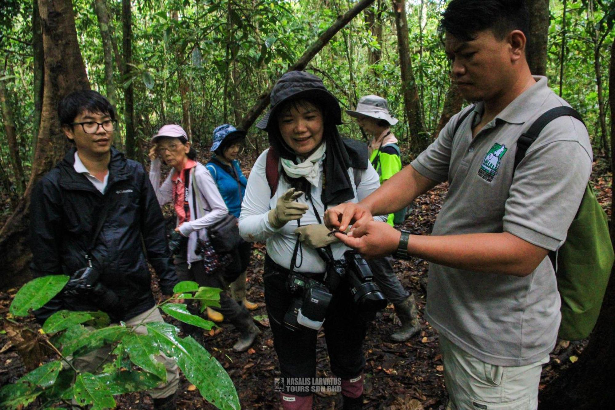 Bilit Tanini Kinabatangan Formerly Known As Nature Lodge Kinabatangan מראה חיצוני תמונה