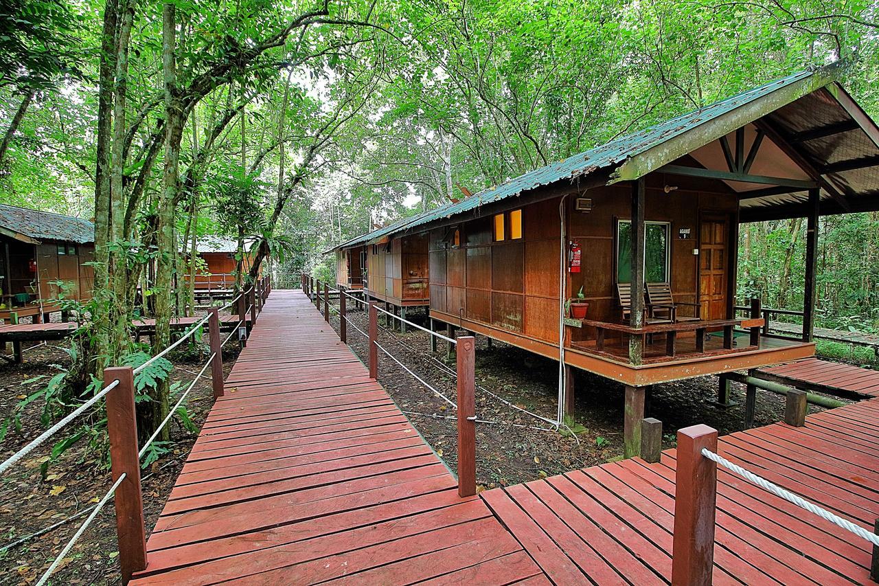 Bilit Tanini Kinabatangan Formerly Known As Nature Lodge Kinabatangan מראה חיצוני תמונה