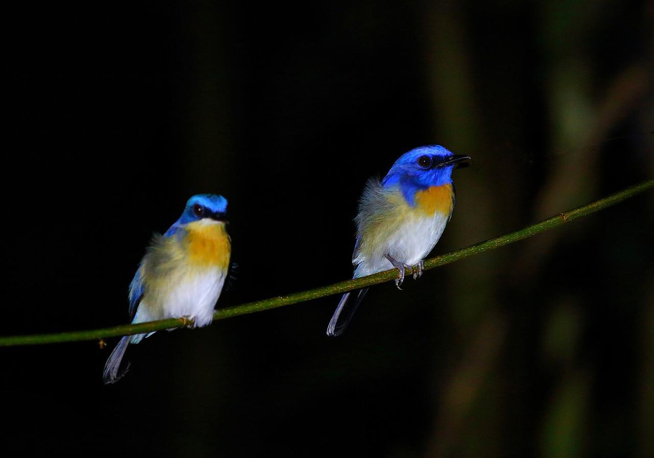 Bilit Tanini Kinabatangan Formerly Known As Nature Lodge Kinabatangan מראה חיצוני תמונה