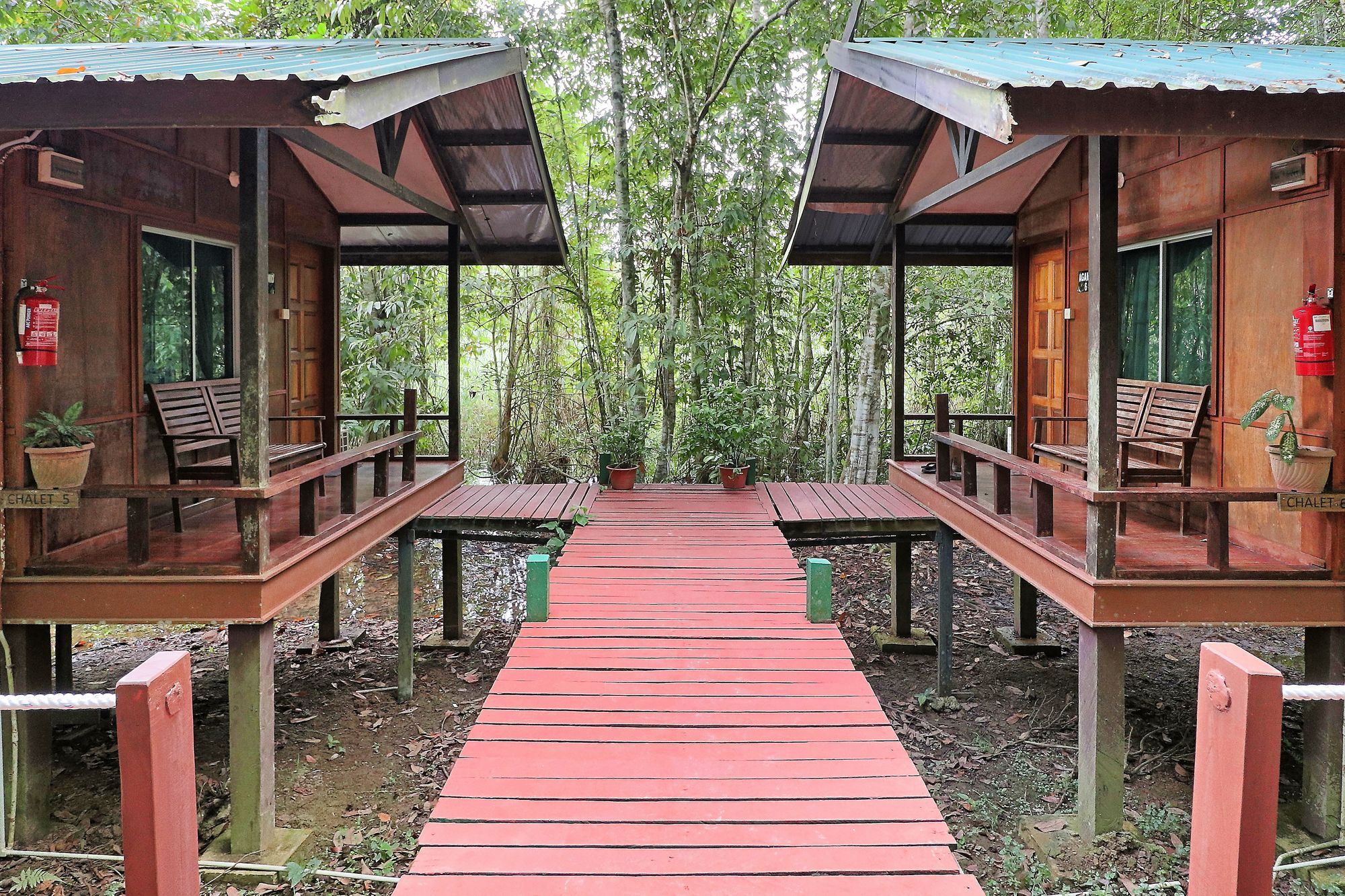 Bilit Tanini Kinabatangan Formerly Known As Nature Lodge Kinabatangan מראה חיצוני תמונה