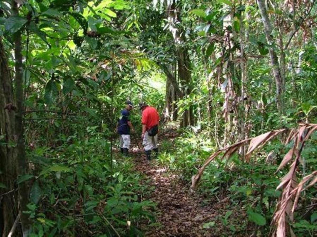 Bilit Tanini Kinabatangan Formerly Known As Nature Lodge Kinabatangan מראה חיצוני תמונה