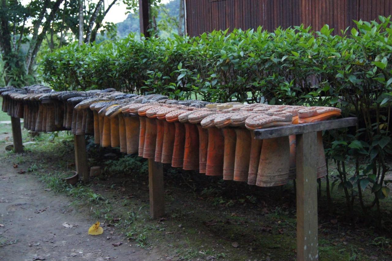Bilit Tanini Kinabatangan Formerly Known As Nature Lodge Kinabatangan מראה חיצוני תמונה